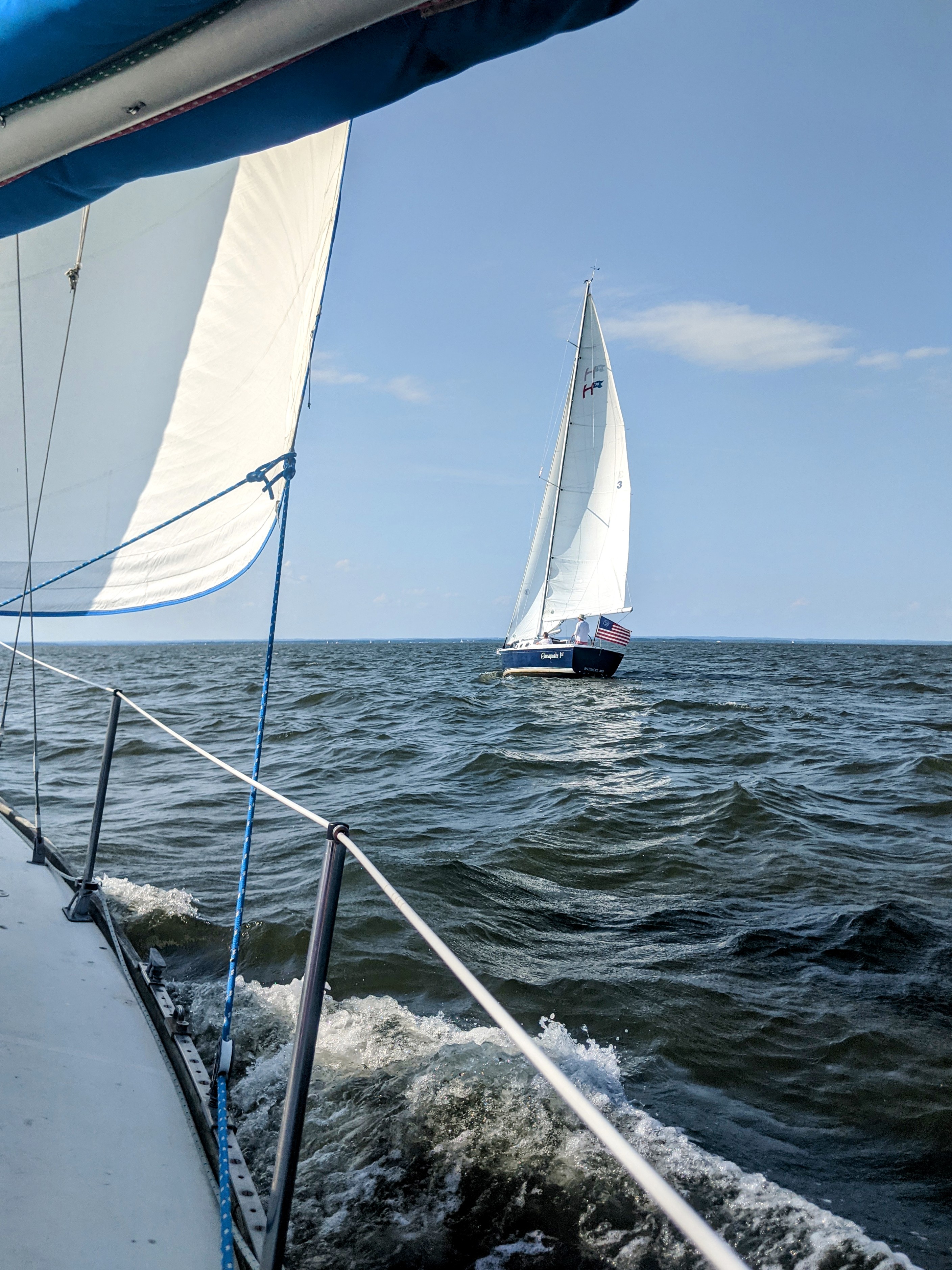 Sailboats on the Bay